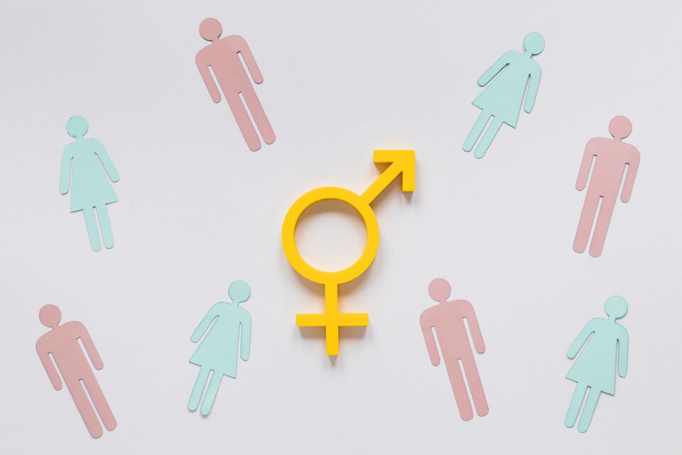 C Program To Predict The Gender of A Person With Name
